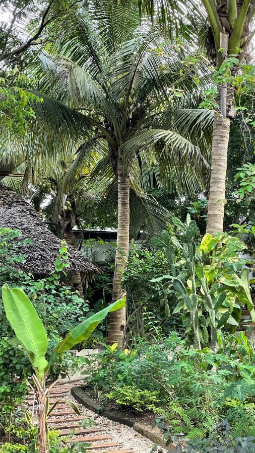 Atii Garden Bungalows Nungwi Bagian luar foto